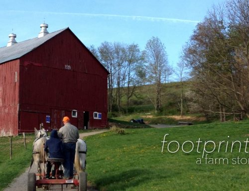 Footprints | A Farm Story | PA Commercial Video